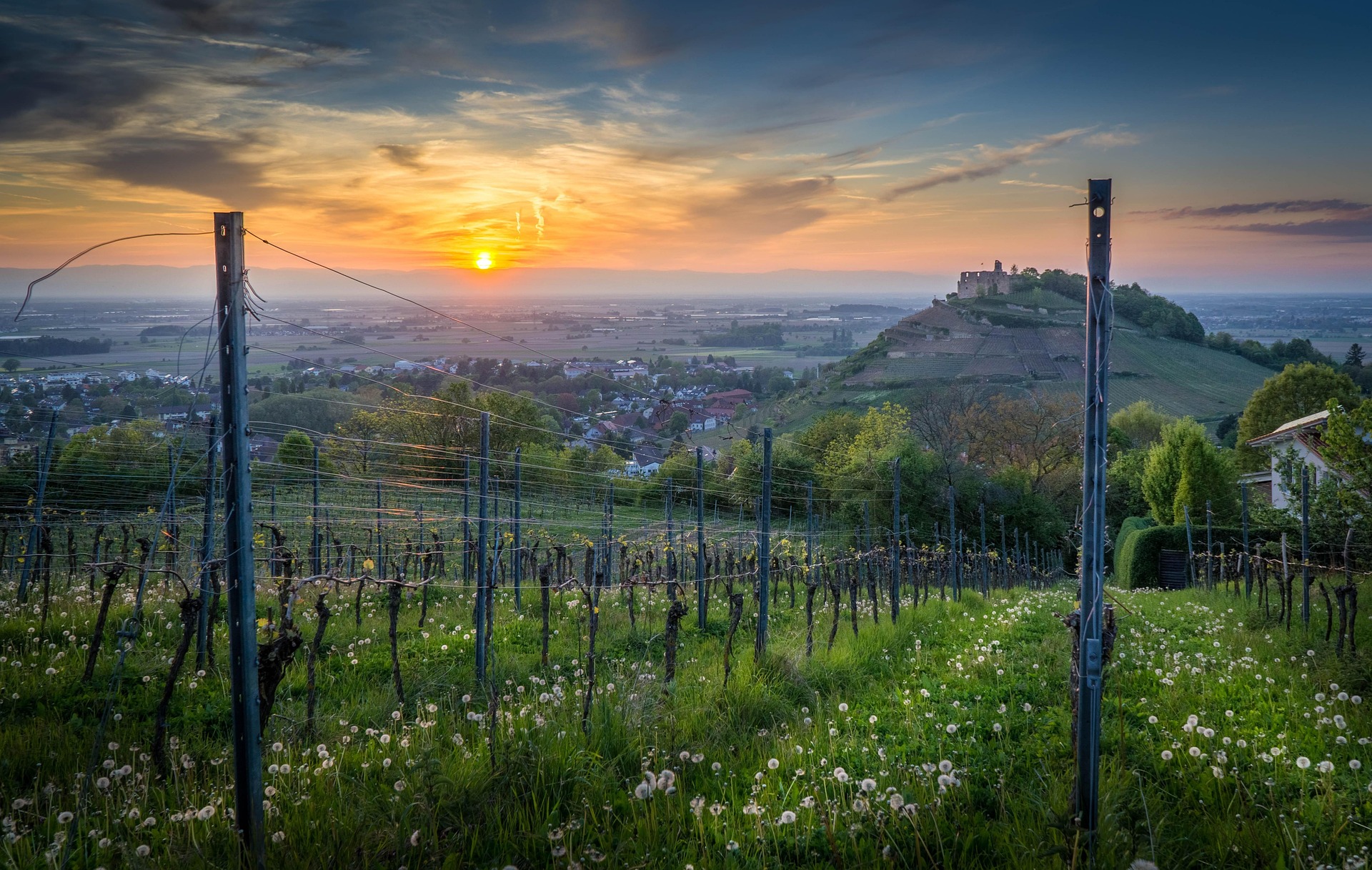BH Corsi di lingua e cultura italiane 2026/2027 Breisach-Hochschwarzwald